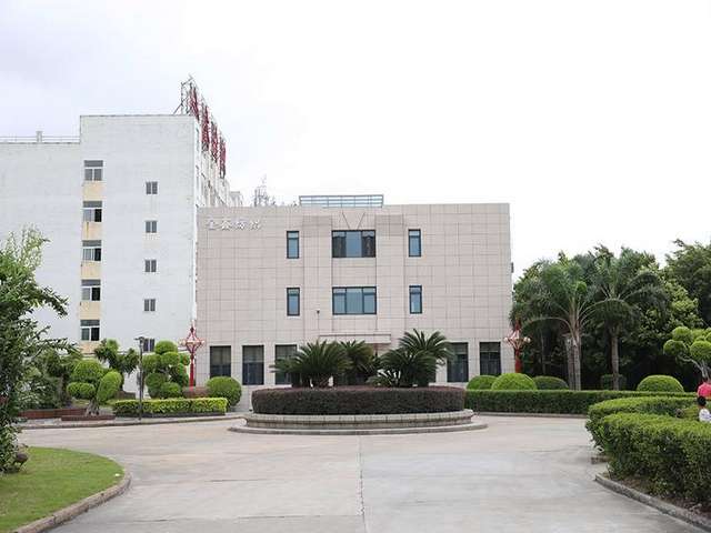 山东公司IP形象设计公司