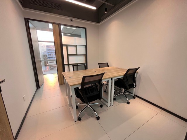 江苏大型龙鱼批发