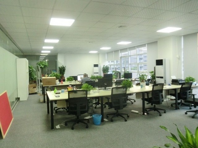 河北正规的新西兰辐射松木条供应商